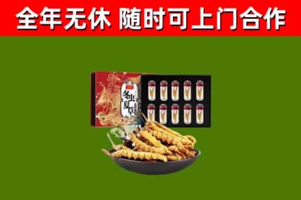 讷河回收冬虫夏草价格