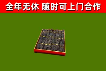 讷河回收海参